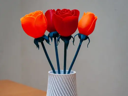 Vase of roses