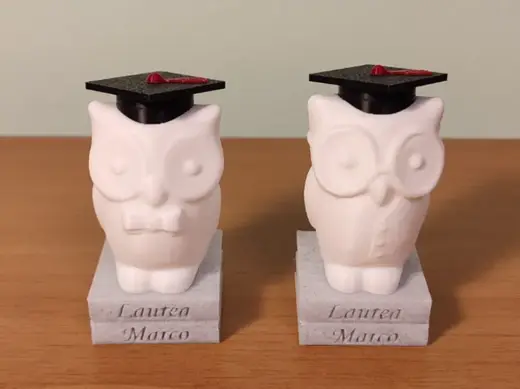 Owl Graduation With Cap, Papillon, Glasses & Book