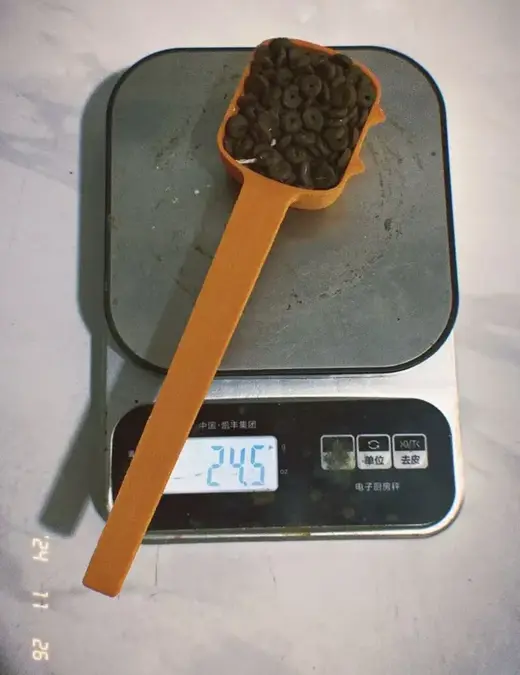 猫粮勺子
