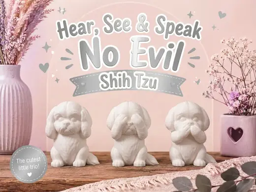 Hear, See & Speak No Evil Shih Tzu