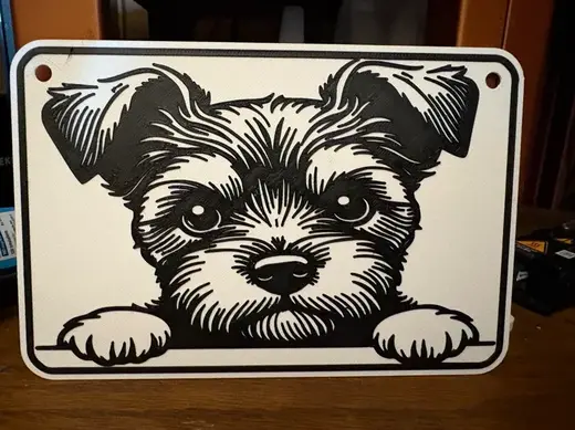 dog 1