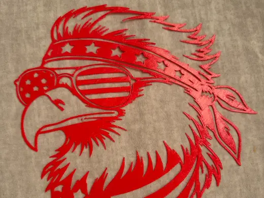 Iron on shirt bald eagle