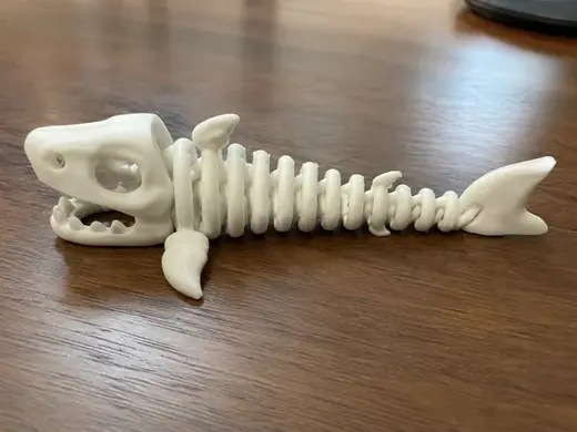 flexi shark