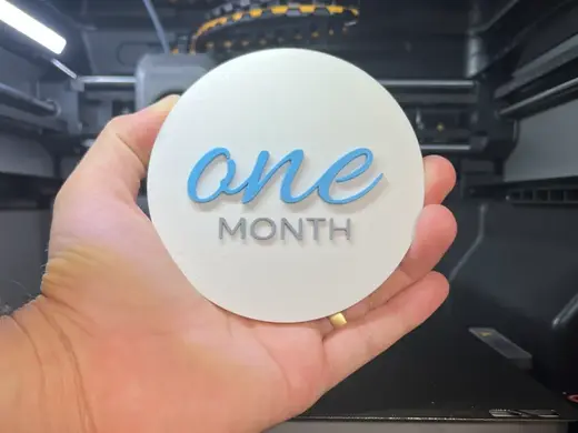 Baby Milestone Discs – 12 Monthly Milestones (En)