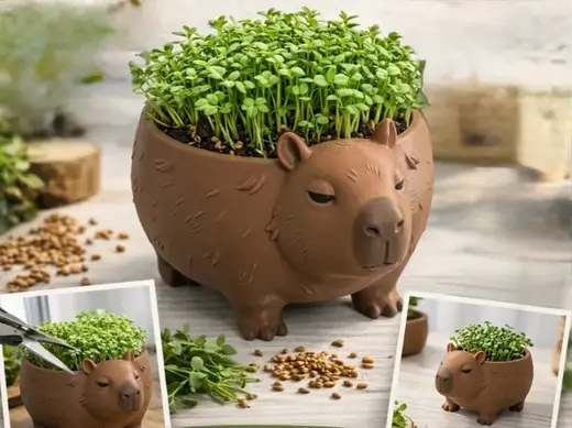 Capybara Flower Pot