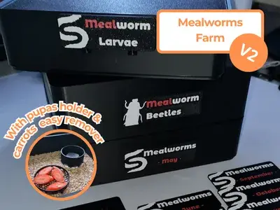 Mealworms farm v2