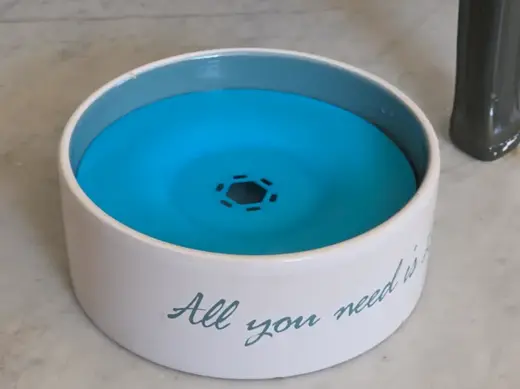 No spill antisplash for waterbowl