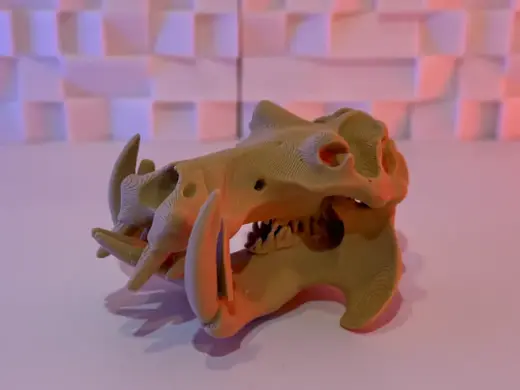 Hippo Skull (5-25 Grams)