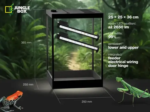 JungleBOX 1 - terrarium 25 × 25 × 36 cm