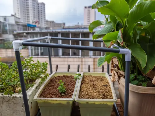 PVC管直径20MM100度和80度三通丨DIY植物暖棚丨拓竹AI封箱