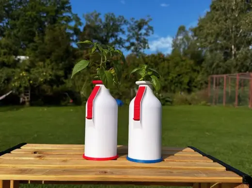 Hydroponic growing bottle, Norrlands ljus