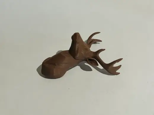 A deer hunting trophy
