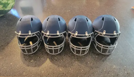 Football helmet 25% scale panthers colors
