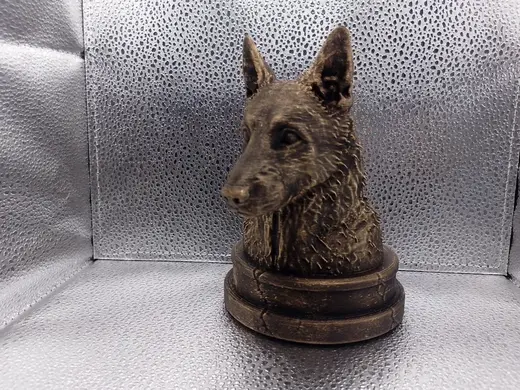 Belgian Laekenois Bust