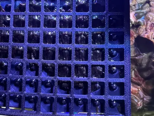 nori plate 2