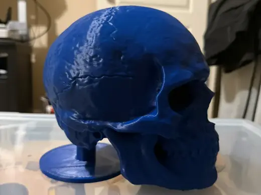 Skull Desk Hat Stand
