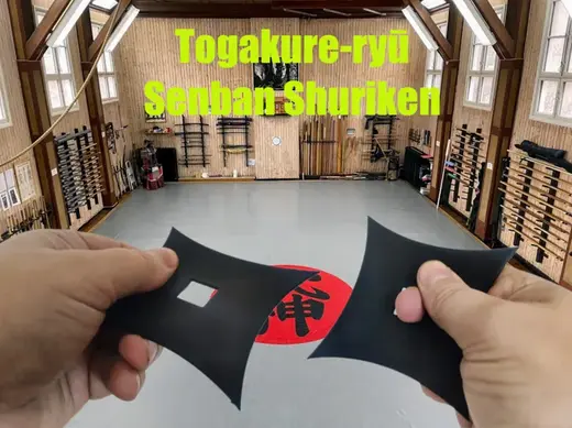 Togakure-ryū Senban Shuriken