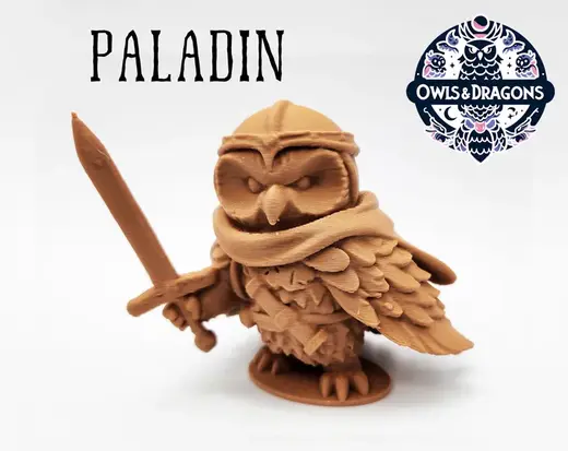 The Paladin - Owls & Dragons