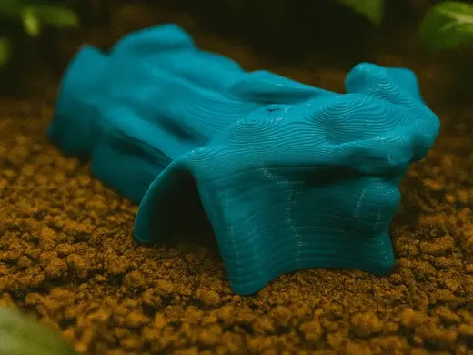 Another hald log Reptile hideout