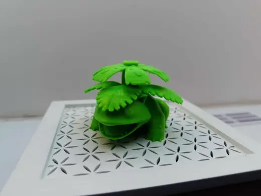 Venusaur Pokemon