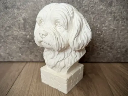 Maltese Shih Tzu Detailed Dog Bust