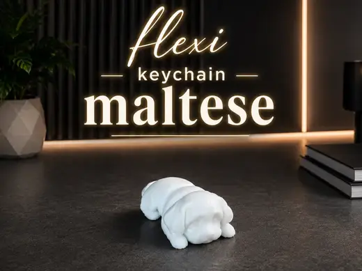 Flexi keychain Maltese dog