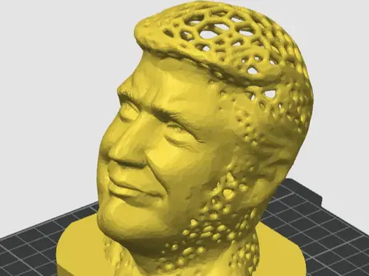 Donald Trump Voronoi with base