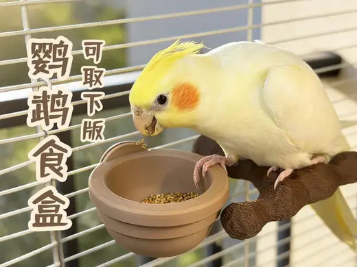 鹦鹉食盒(可取下版)|方便换粮/清洗