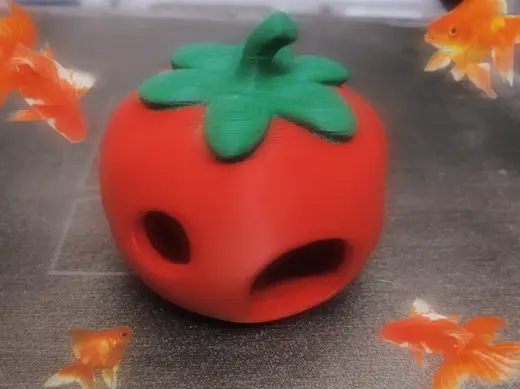 一缸番茄小房子,养鱼观景两不误