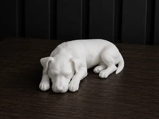 Sleeping Jack Russell Terrier - Animal - Dog