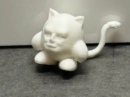 Kirb Cat