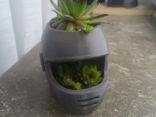 Motorcycle Helmet Planter - Desktop Succulent Pot