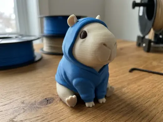 Capivara de Capuz - Sem AMS