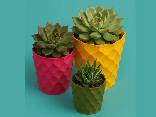 Scaly Spectrum Planter