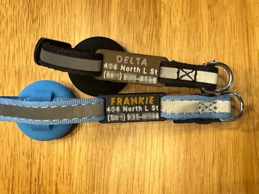 Cat ID Tag to fit any 1 cm wide collar