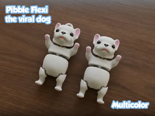 Flexi Pibble, Viral Dog, Eyes Open - Multicolor