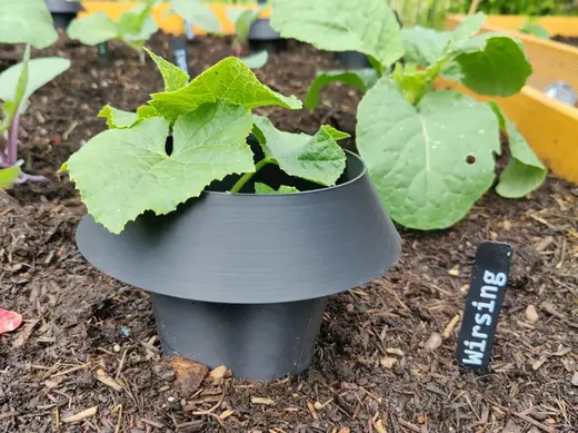 Anti-Snail Collar (Protects Plants And Vegetables)