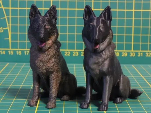 German Shepherd Alsatian Belgian Groenendael