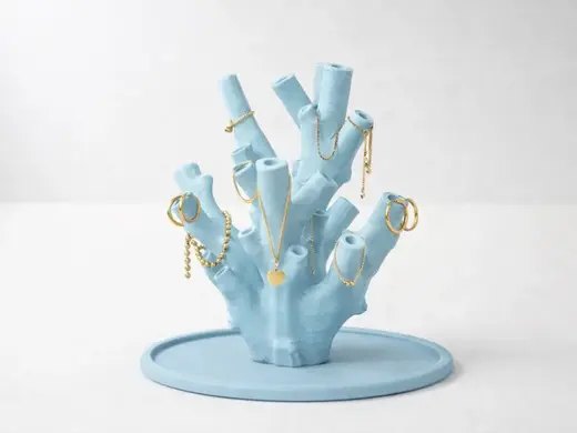 Coral Jewelry Organizer