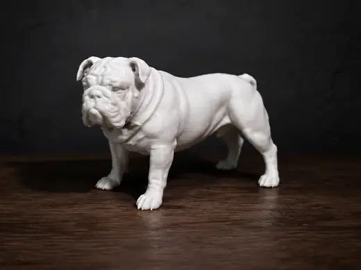 English bulldog - Animal - Dog - Decor