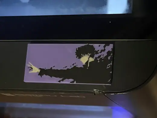Solo Leveling Dust Cover for P1S