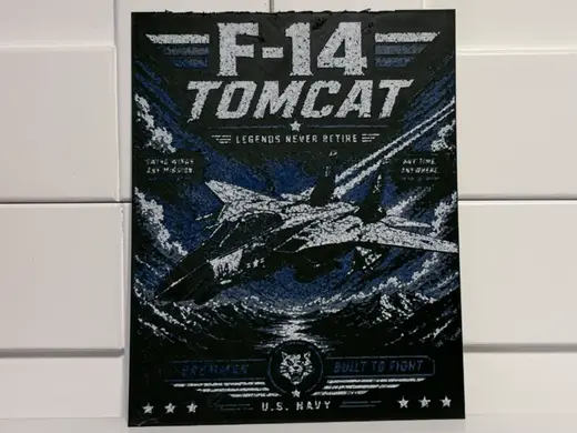 F-14 Fighter Jet Military Wall Art