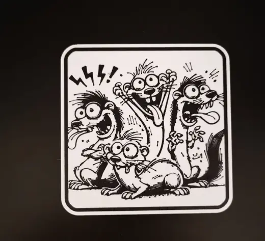 Funny ferret party coaster