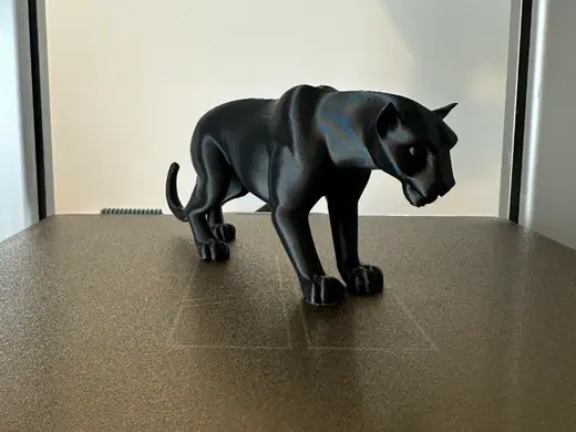 Panther