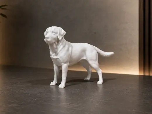 Labrador Retriever - Dog - Animal - Decor
