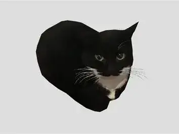 Maxwell The Cat