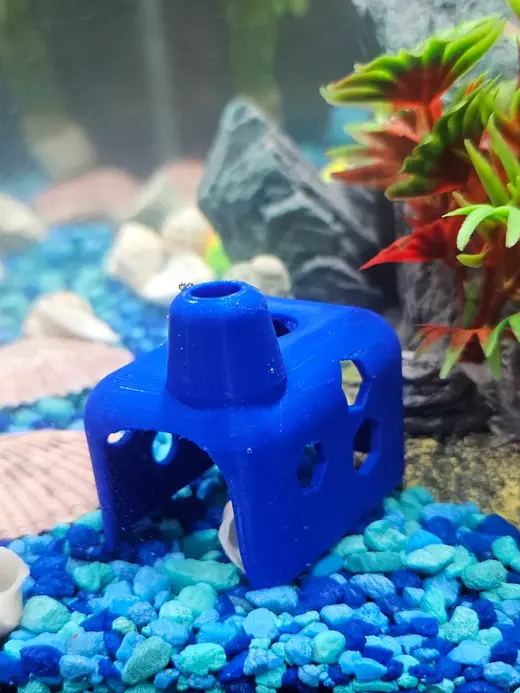 Cube Fish Cave
