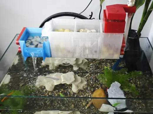 Fish Tank Aquarium