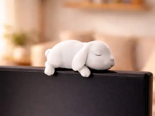 Sleepy Bunny monitor pet