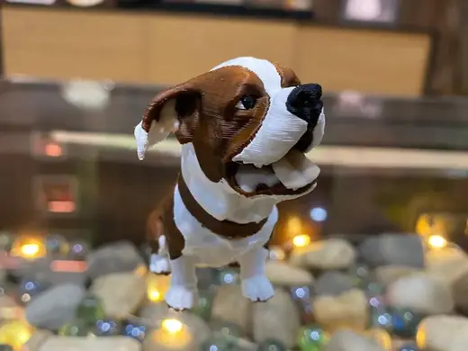 Bulldog inglés